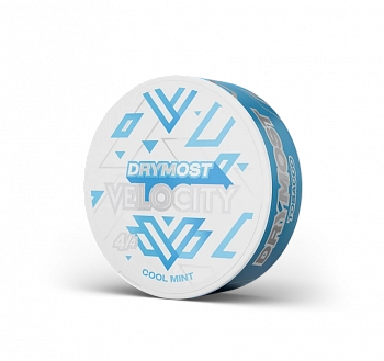 Купить Жевательный табак DryMost SLIM "Velocity / Свежая мята" Жевательный табак DryMost SLIM "Velocity / Свежая мята"